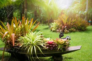 Florida yard ideas to sell your home